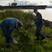 Nimitz Removes Invasive Vegetation from Sinclair Inlet Shoreline