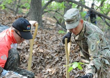Soldiers from 116th Infantry Regiment and ROK counterparts conduct KIA remains recovery operations