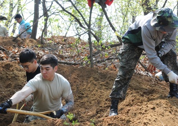 Soldiers from 116th Infantry Regiment and ROK counterparts conduct KIA remains recovery operations