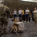 Aeromedical Evacuation Airmen receive basic veterinary training