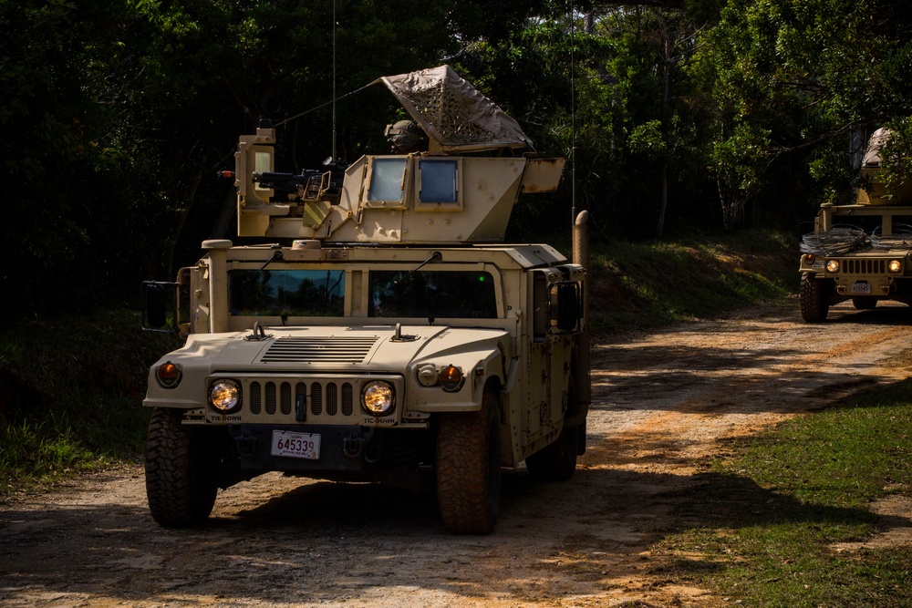 Ready to Fight | 3d Law Enforcement Battalion Marines tested for combat readiness