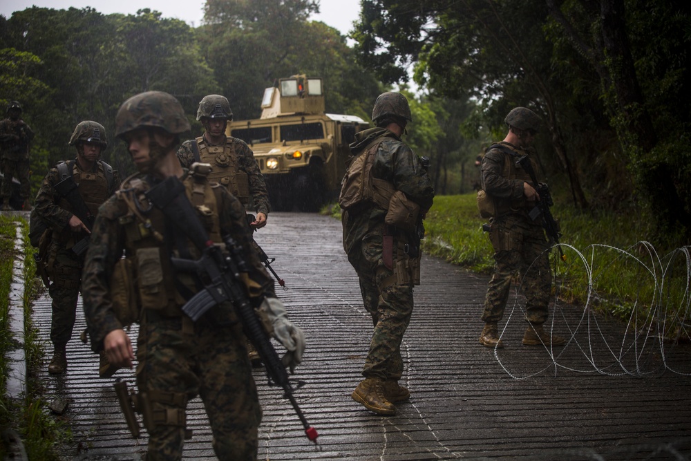 Ready to Fight | 3d Law Enforcement Battalion Marines tested for combat readiness