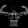 Airman balanced through bodybuilding Airman balanced through bodybuilding