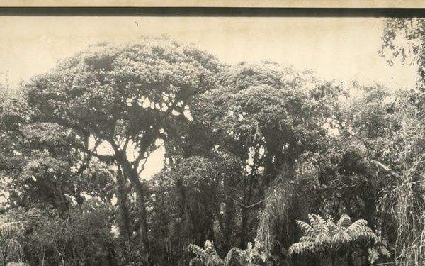 Ecuador FY98 - Environment