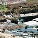 Honduras Hurricane FY98