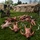 U.S. Army trains to respond to nuclear catastrophe U.S. Army trains to respond to nuclear catastrophe