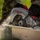 U.S. Army trains to respond to nuclear catastrophe U.S. Army trains to respond to nuclear catastrophe