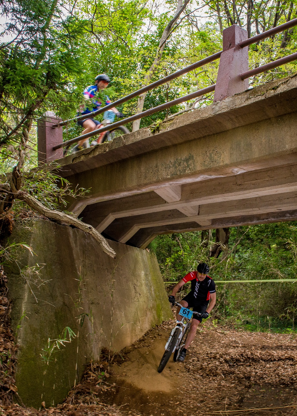 Tour de Tama