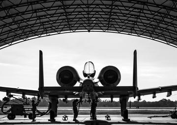 Warthog