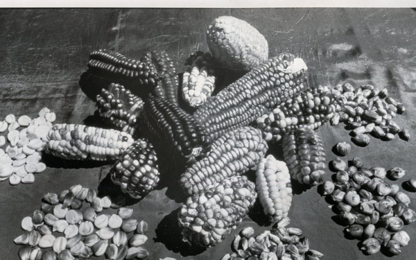 Miscellaneous Photos/Negatives