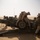 “Stand By!” Fox Battery trains on Howitzers in Kuwait
