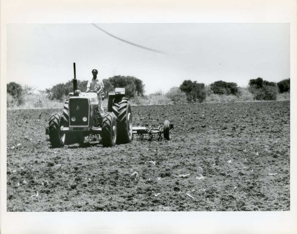 Somalia - Agriculture