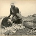 Somalia - Agriculture