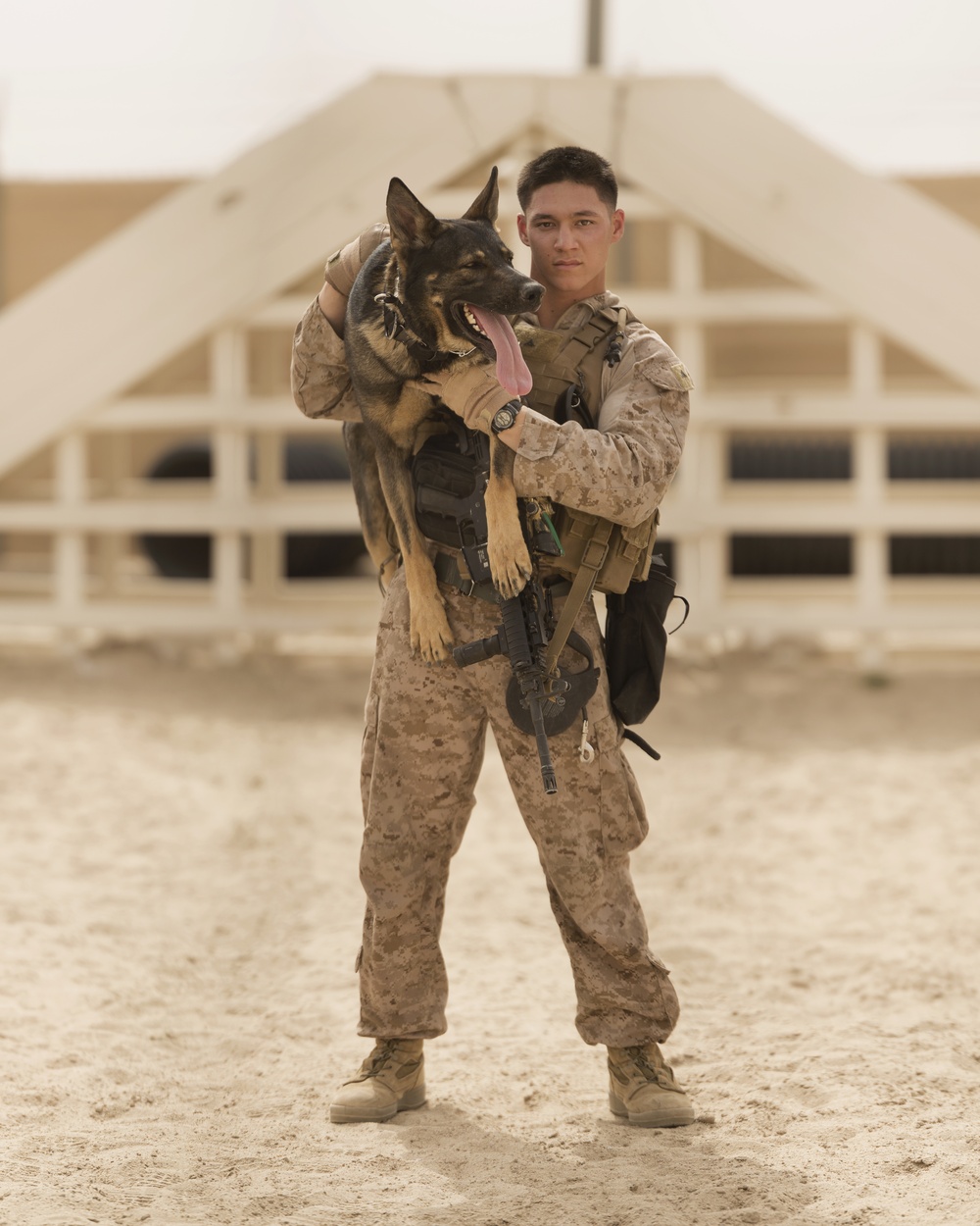 Phoenix, Ariz. native reflects on what his military working dog has taught him