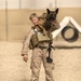 Poplar Grove, Ill. native refl;ects on her time as a Marine and military working dog handler