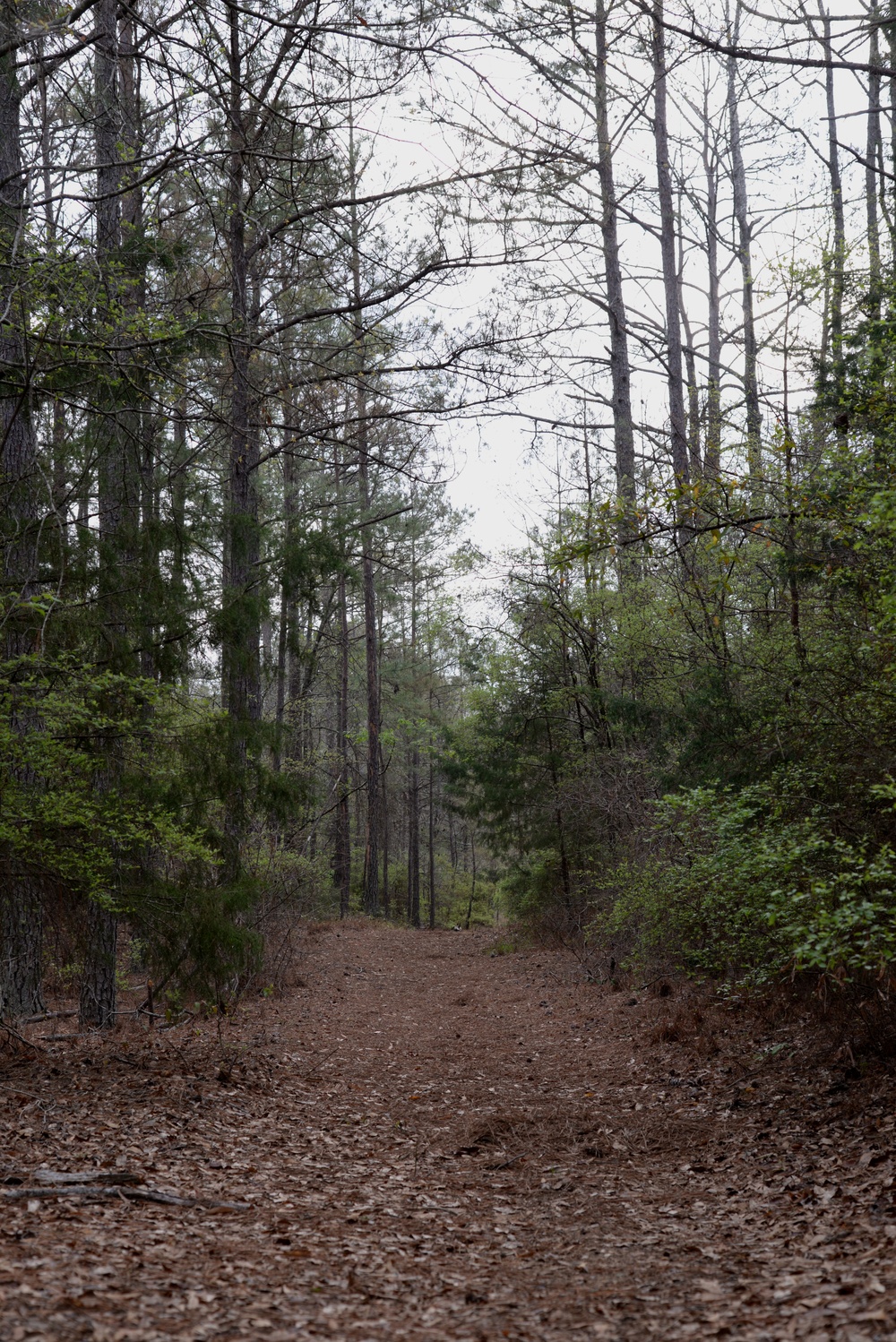 Visit Columbus AFB’s beautiful nature trails