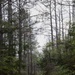Visit Columbus AFB’s beautiful nature trails
