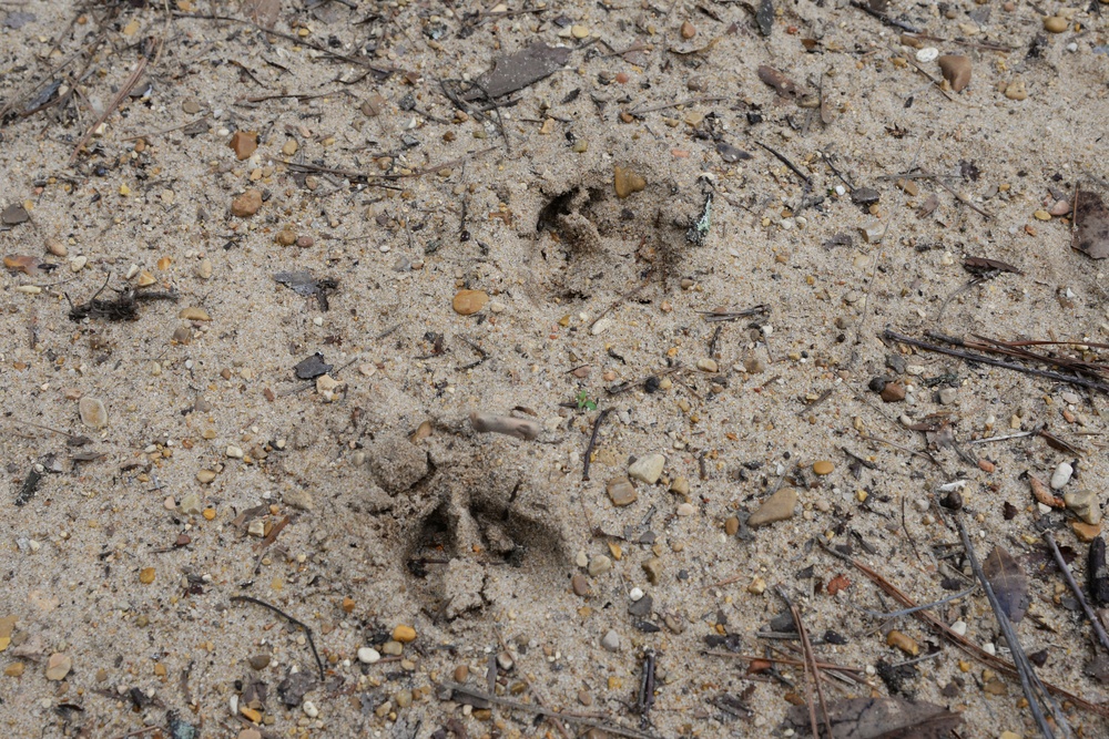 Visit Columbus AFB’s beautiful nature trails