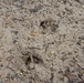 Visit Columbus AFB’s beautiful nature trails