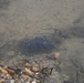 Visit Columbus AFB’s beautiful nature trails
