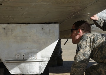 Teaming up with N.C. Forest Service