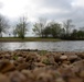 Visit Columbus AFB’s beautiful nature trails