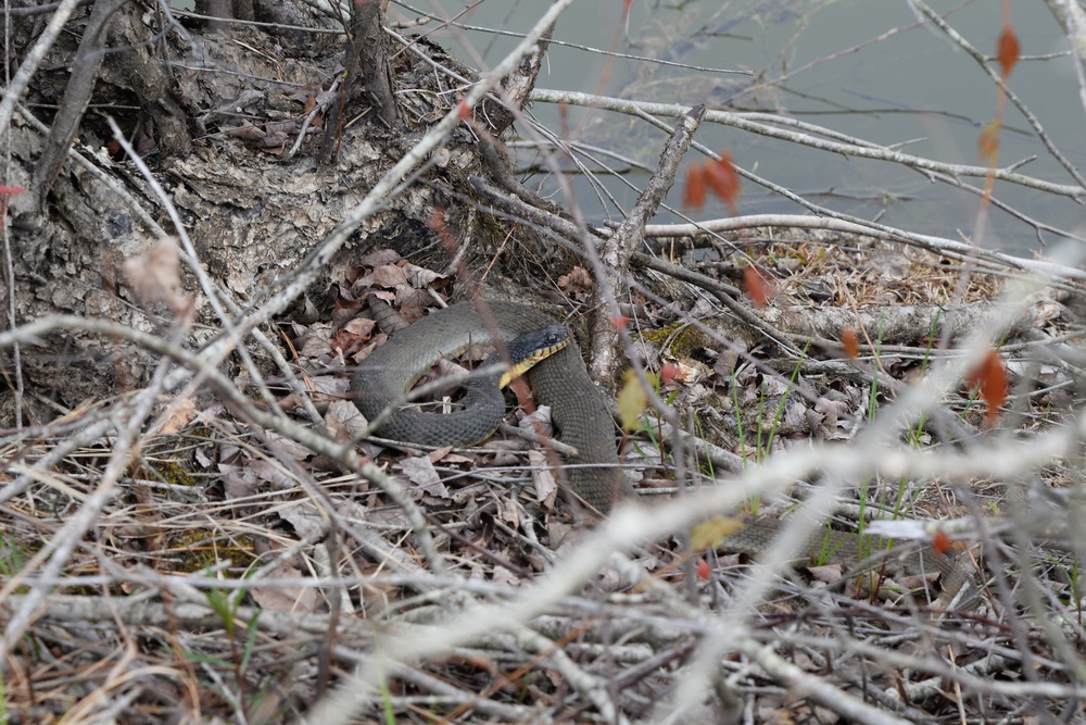 Visit Columbus AFB’s beautiful nature trails
