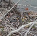 Visit Columbus AFB’s beautiful nature trails