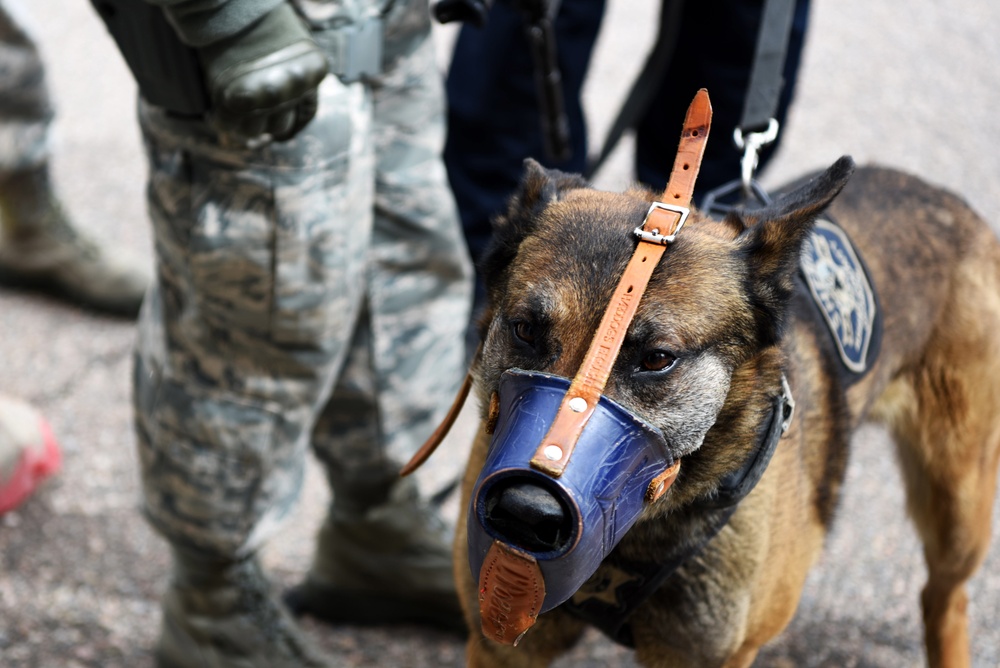 Security Forces ups their game