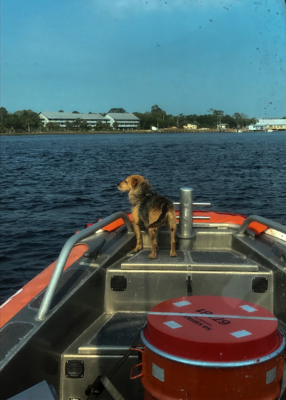 Coast Guard rescues man, his dog 30 miles off Horseshoe Beach