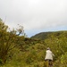 Volunteers help USAG-HI protect native habitats