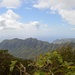 Volunteers help USAG-HI protect native habitats