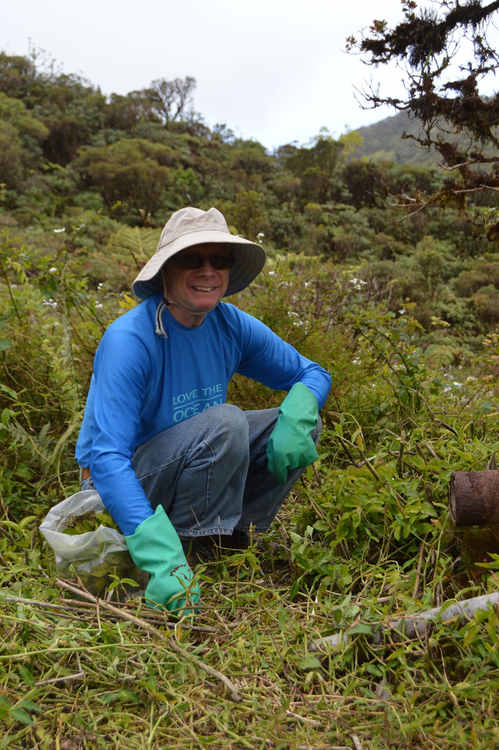 Volunteers help USAG-HI protect native habitats