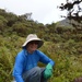 Volunteers help USAG-HI protect native habitats