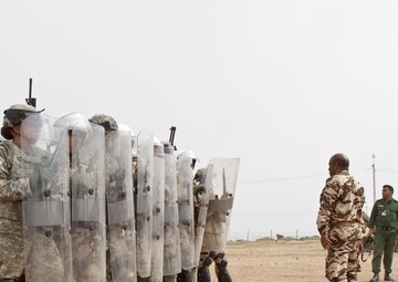 African Lion 17: From Training to Execution