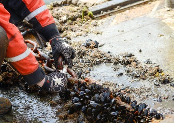 Coast Guard Aids-to-Navigation Team Bristol conducts buoy maintenance