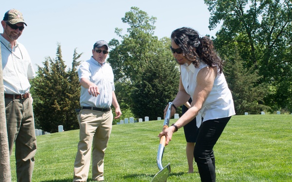 Arlington National Cemetery horticulture department conducts a tree planting ceremony in Section 34