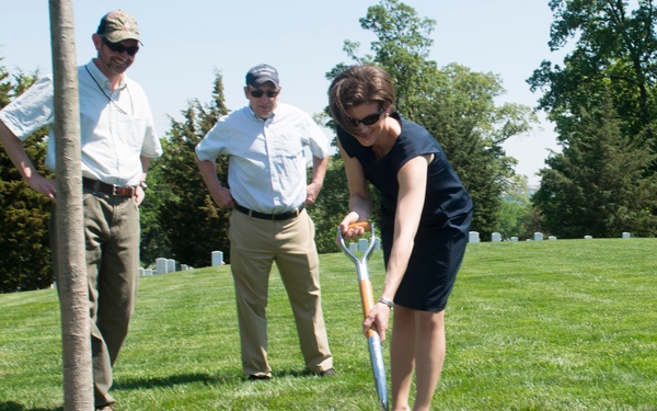 Arlington National Cemetery horticulture department conducts a tree planting ceremony in Section 34