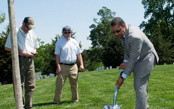 Arlington National Cemetery horticulture department conducts a tree planting ceremony in Section 34