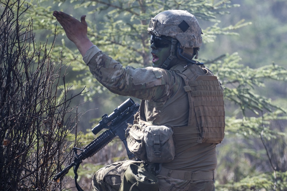 '1 Geronimo' scout platoon paratroopers conduct live-fire training at JBER