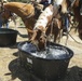 Camp Pendleton 75th Anniversary Horseback Ride