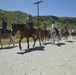 Camp Pendleton 75th Anniversary Horse Back Ride