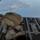 USAF, USA members maintain jump proficiency