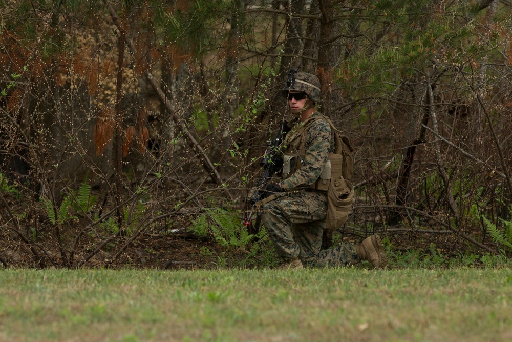 Deployment for Training: 2/2 conducts training exercises