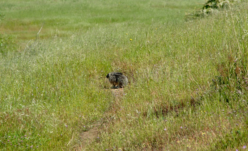 Earth Day Nature Trail Tour