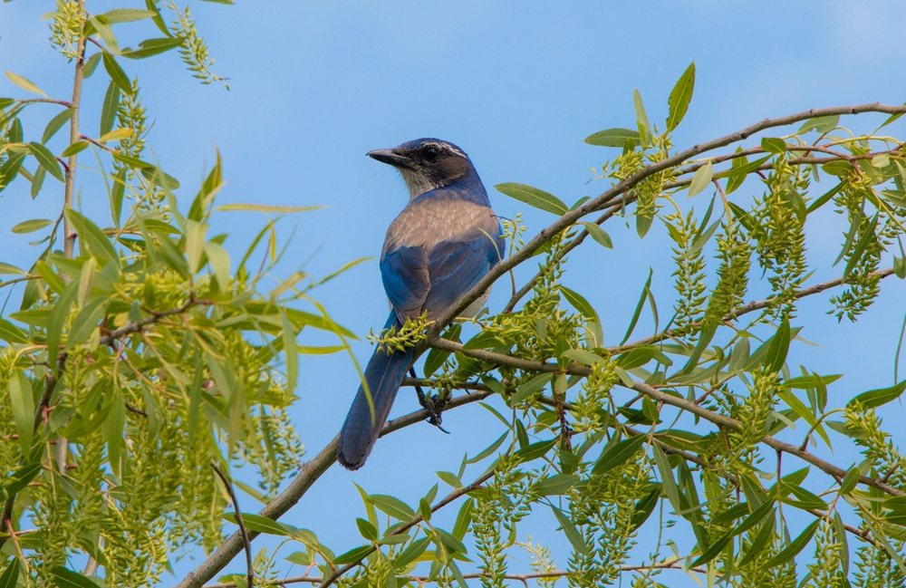 Earth Day Nature Trail Tour