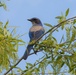 Earth Day Nature Trail Tour