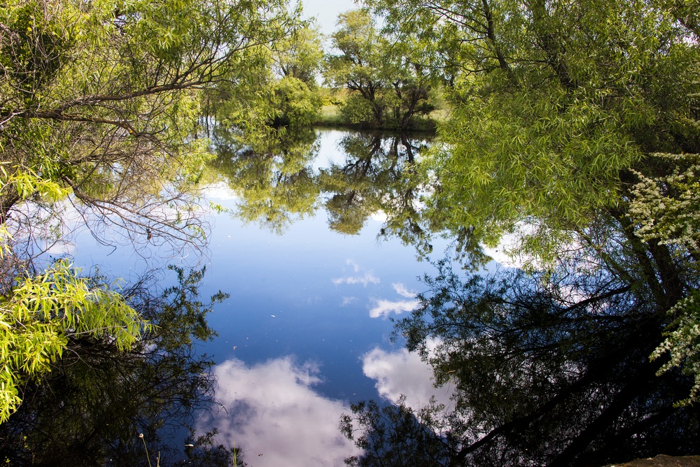 Earth Day Nature Trail Tour