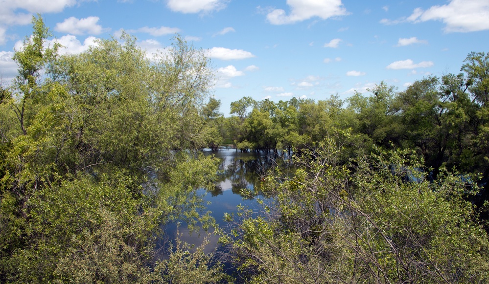 Earth Day Nature Trail Tour