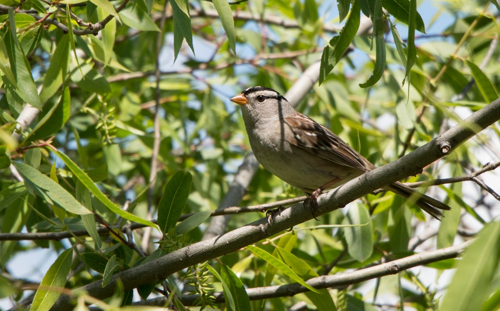 Earth Day Nature Trail Tour